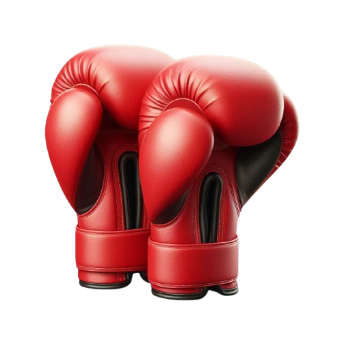 Mănuși de box
